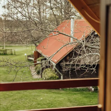 Braksi Namins * Pērkone